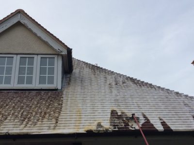 Gutter Cleaning