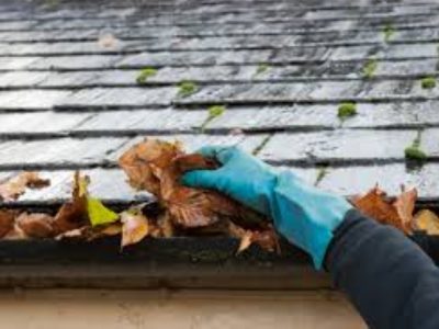 Gutter Cleaning
