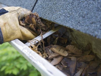 Gutter Cleaning