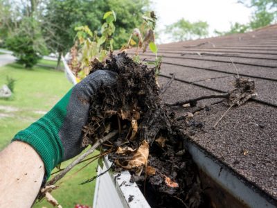 Gutter Cleaning