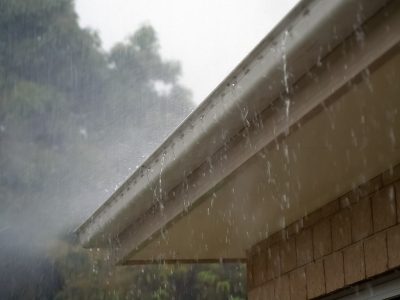 Gutter Cleaning
