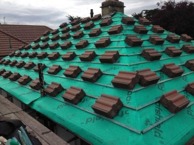 Gutter Cleaning