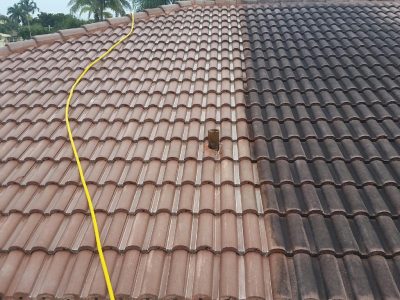 Gutter Cleaning