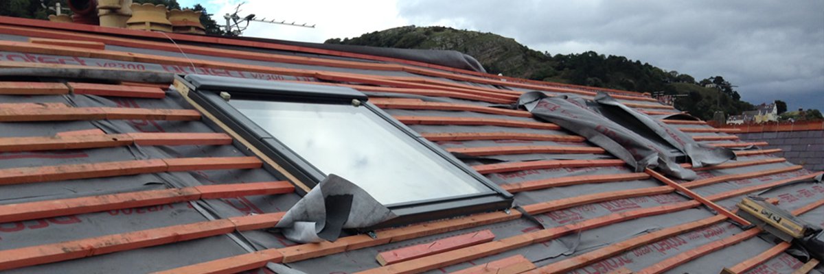 Skylight Repairs