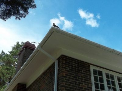 Gutter Cleaning